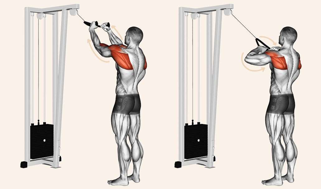 Face pulls | Shutterstock